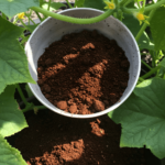 17 Plants That Thrive with Coffee Grounds – Boost Growth Naturally