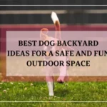 Best Dog Backyard Ideas for a Safe and Fun Outdoor Space