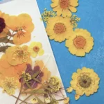 10 Pressed Flower Art Projects