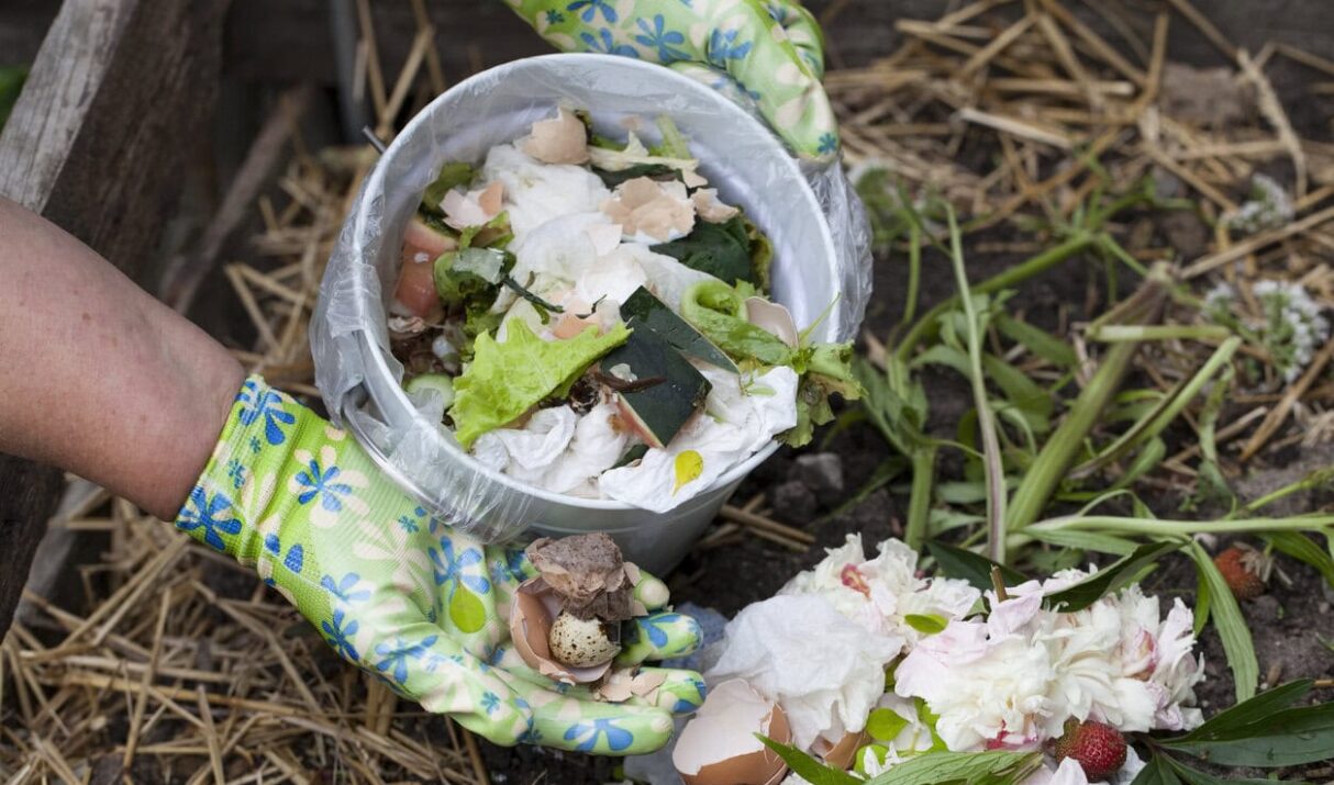 9 Organic Fertilizers You Can Make From Kitchen Scraps