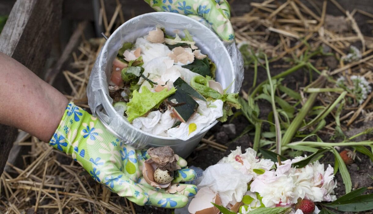 9 Organic Fertilizers You Can Make From Kitchen Scraps