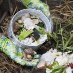 9 Organic Fertilizers You Can Make From Kitchen Scraps