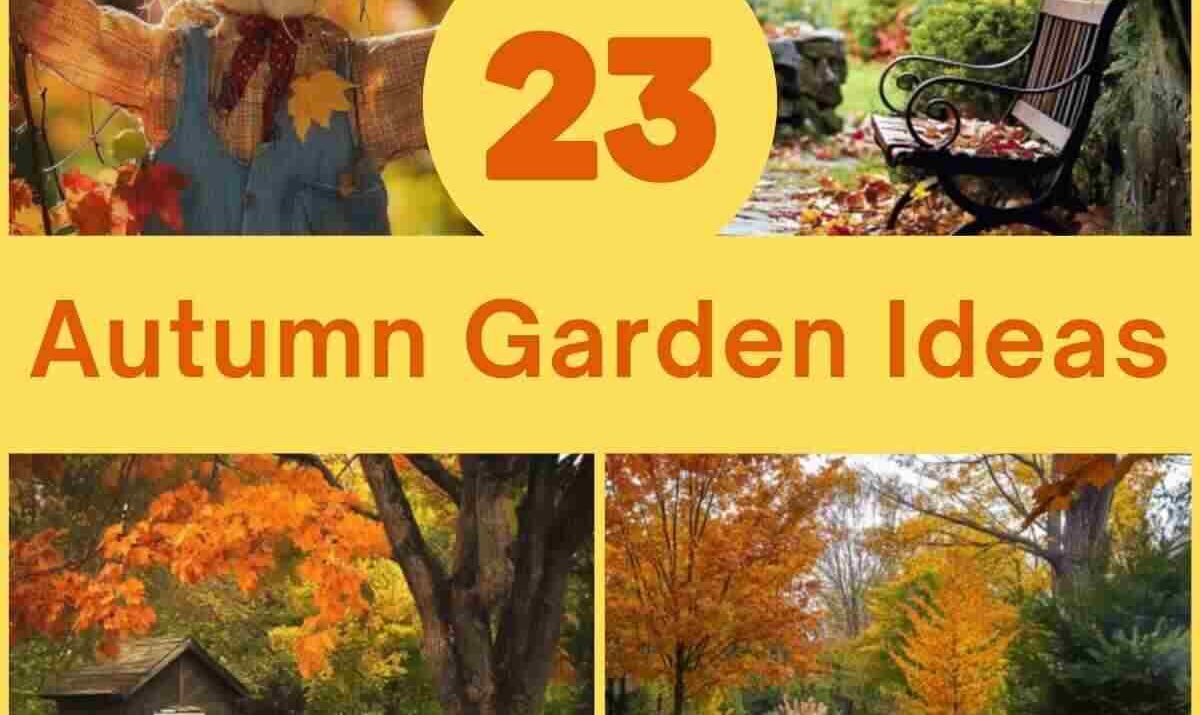 23 Easy Fall Garden Ideas for a Seasonal Makeover